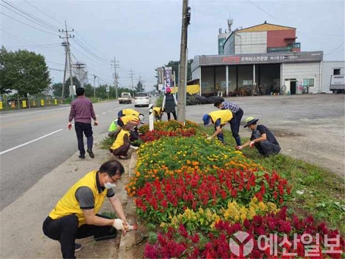 보도자료05_오가면 주민자치위원들이 가을꽃을 심는 모습.jpg