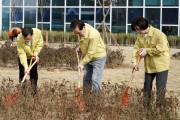 충남교육청, 78회 식목 행사 진행...'탄소 중립 녹색성장 실현'