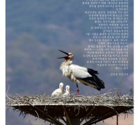 [포토] 예산황새공원 '육추의 하루'